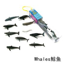 Simulation animal toy model whale children baby early education puzzle Enlightenment kindergarten teaching humpback whale
