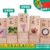 100 ký tự Trung Quốc kỹ thuật số hai mặt domino đồ chơi giáo dục trẻ em khối gỗ biết chữ và đọc viết - Khối xây dựng Khối xây dựng
