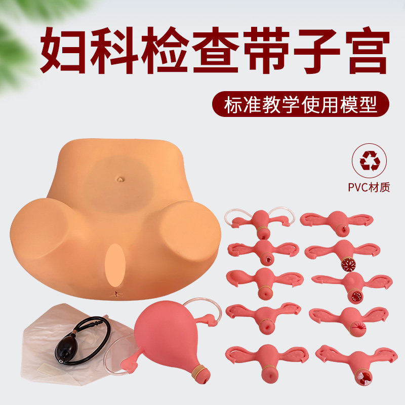 妇科内诊检查模型子宫触诊视诊 高级妇科检查训练模型带8子宫病变