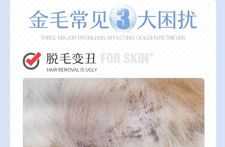 Nhập khẩu công thức protein tự nhiên Meitton Golden Retriever thức ăn cho chó đặc biệt chó trưởng thành chó con lớn loại chung 40 kg - Chó Staples thức an cho chó