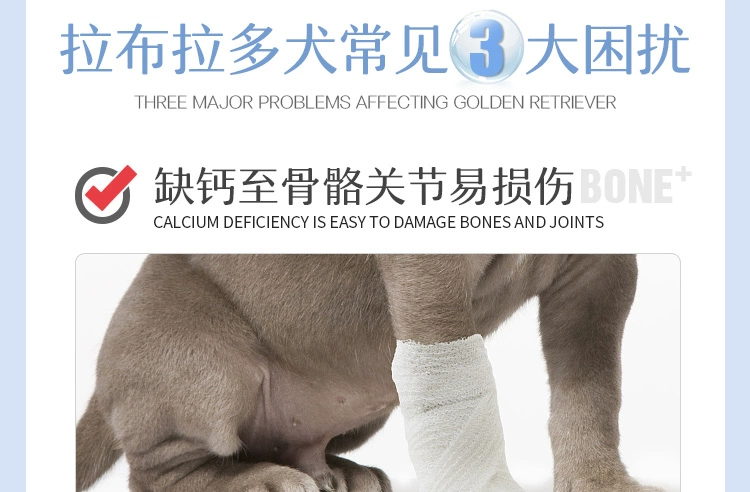 Nhập khẩu công thức protein tự nhiên Meitton Labrador thức ăn cho chó đặc biệt chó trưởng thành lớn chó con nói chung loại 40 kg - Chó Staples cám cho chó