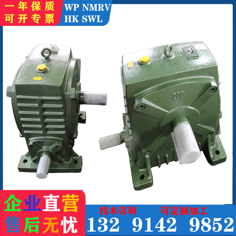 WPA155 WPS155 reducer worm gear reducer double output shaft iron shell vertical turbine box