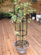 ສີຂາວ 8mm outdoor flower climbing stand flower stand gardening climbing pergola outdoor flower stand rose clematis