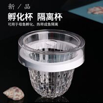 Guppy breeding box suspended hatching box cup small fish larvae mother betta acrylic isolation box delivery room fish