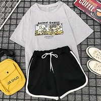 F204 Grey Grey