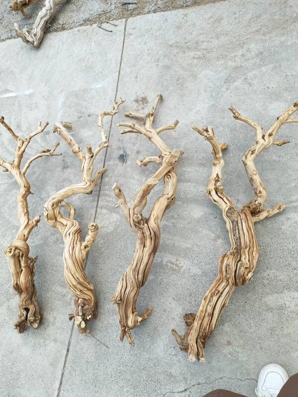 Dead Tree Branches for Reptile Terrarium Decoration, Wooden Climbing Tree for Lizards, Eyelash Snakes, and Other Reptiles