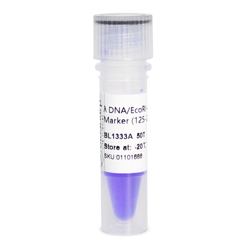 BL1333A &lambda; DNA/EcoRI+HindIII DNA Marker 分子量125-21226bp