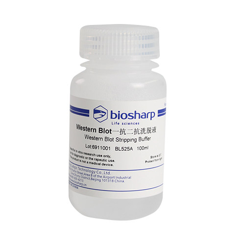 白鲨biosharp BL525A Western Blot一抗二抗洗脱液（中性）100ml