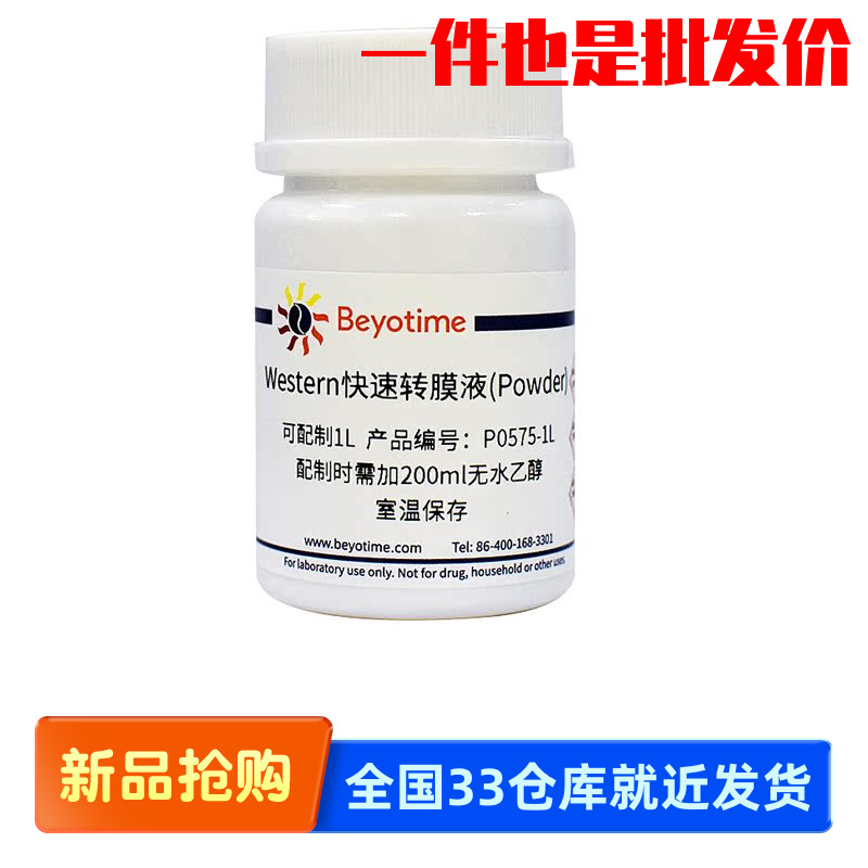 碧云天 Beyotime P0575-1L P0575-10L Western快速转膜液(Powder)