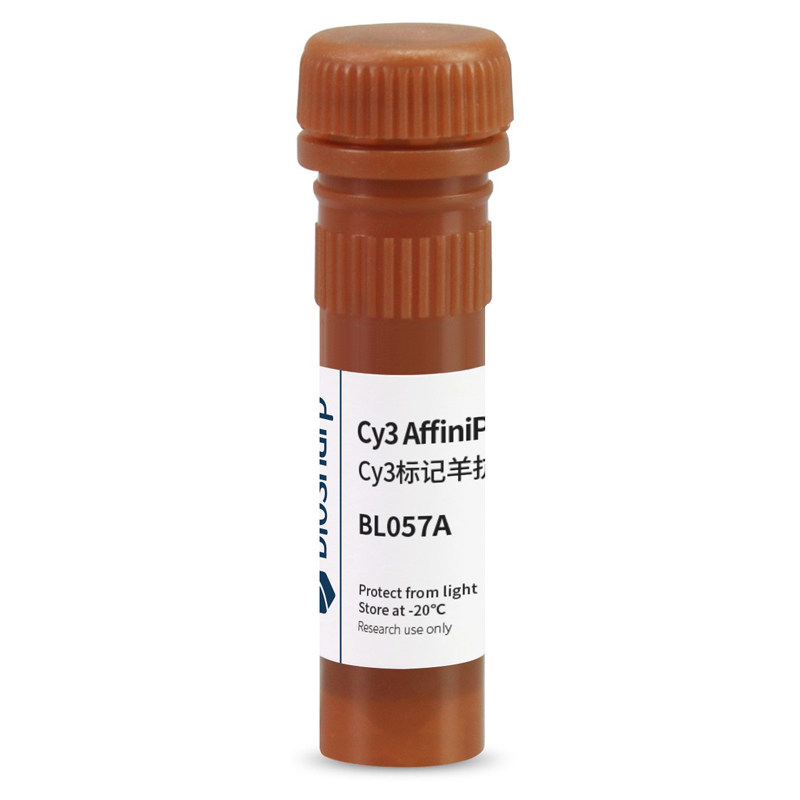 白鲨 Biosharp BL057A Cy3标记山羊抗小鼠IgG(H+L)  0.1ml