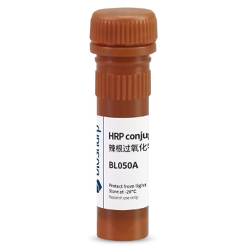 Biosharp白鲨 BL050A 辣根过氧化物酶标记链霉亲和素 1mg/ml