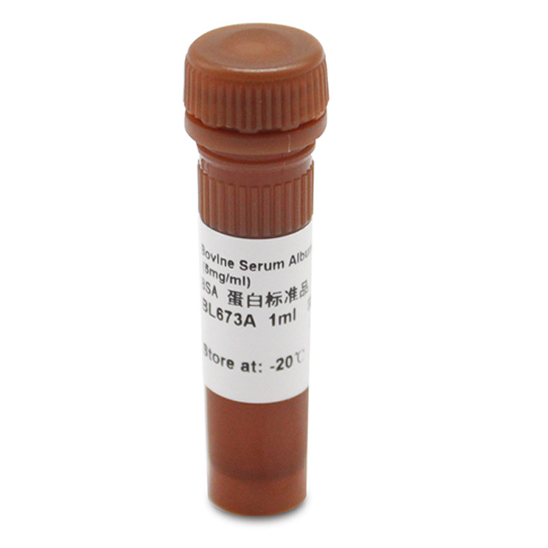 白鲨 Biosharp BL673A BSA 蛋白标准品（5mg/ml） 1ml