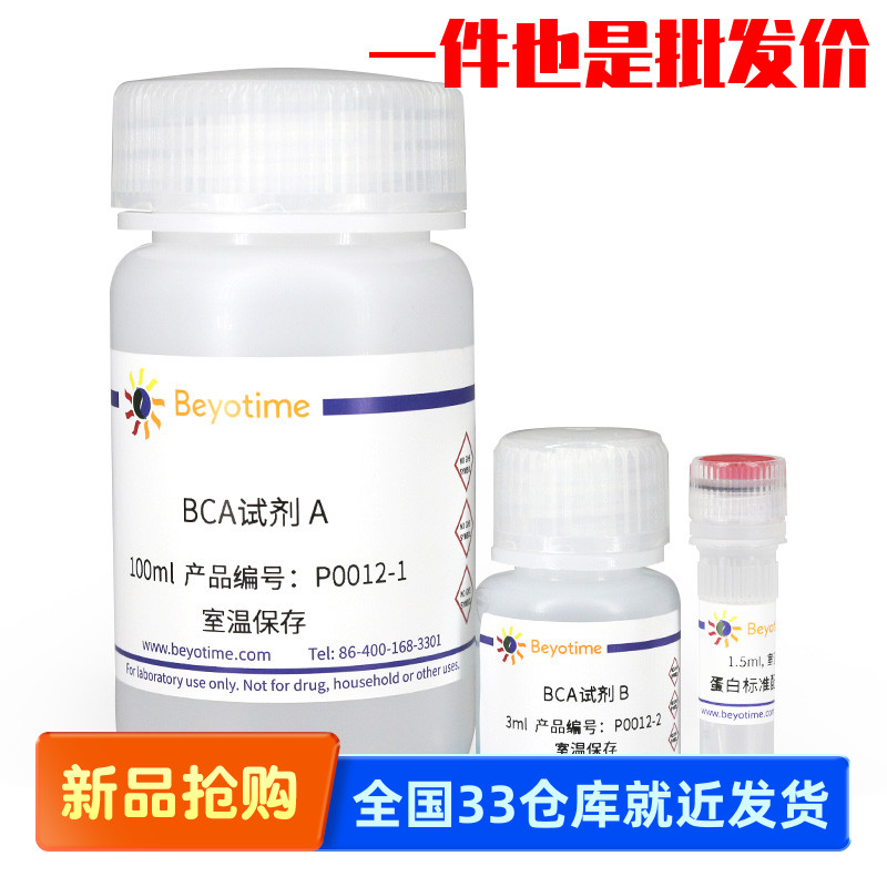 碧云天beyotime P0012S P0012 P0011 BCA蛋白浓度测定试剂盒