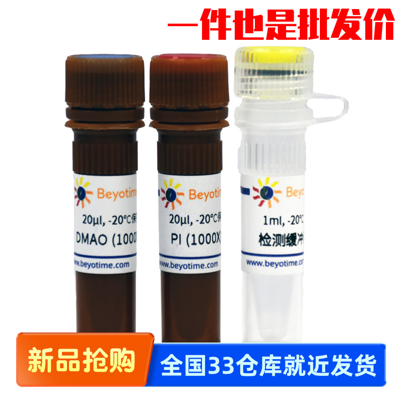 碧云天 C2030S 细菌死活染色试剂盒(DMAO/PI)