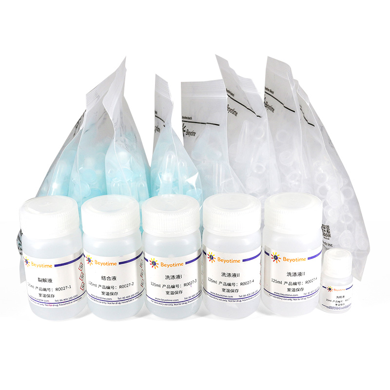 碧云天R0024 R0026 R0027 RNAeasy?动物RNA抽提试剂盒(离心柱式)