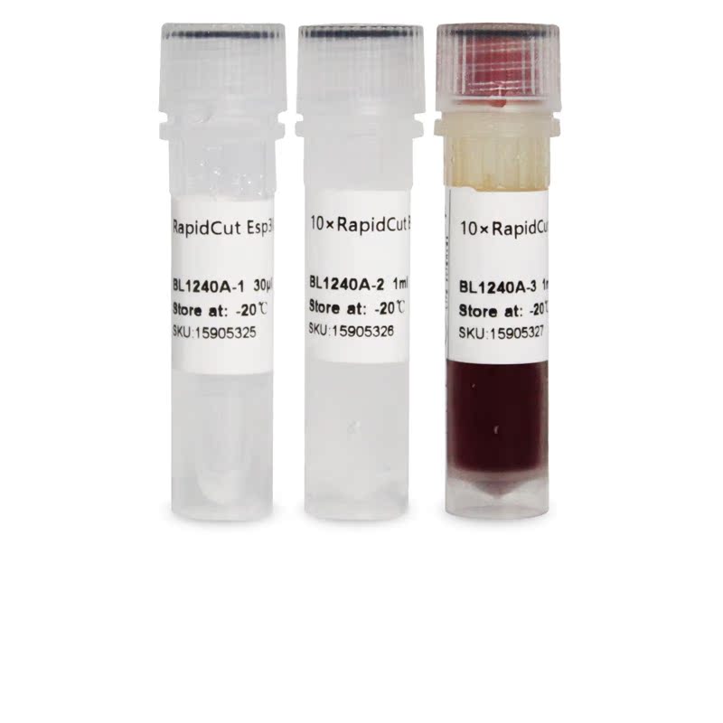白鲨 Biosharp BL1240A RapidCut Esp3I(BsmBI) 快速限制性内切酶
