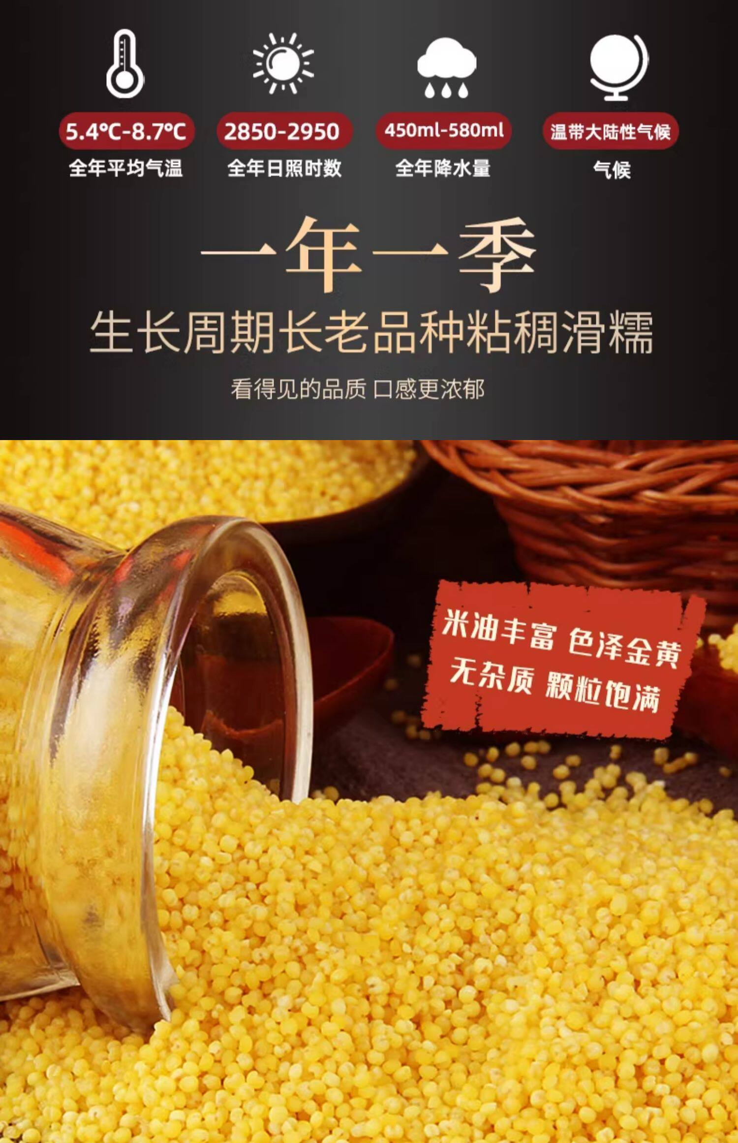 安享好物 安享B级小米-野三坡山西小米 国标