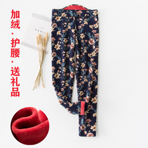 Middle-aged and elderly warm pants mother cotton trousers old mens cotton pants womens inner wear base and velvet pants thickened loose