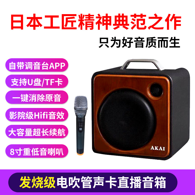 AKAI Yajia AT3-08 electric blow pipe musical instrument sound K song violin two Hussax sound card live sound box