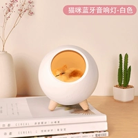 Белая хижина, подарок на день рождения, bluetooth