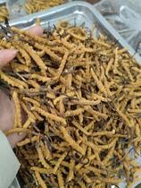 Chengdu Sichuan recycles Cordyceps sinensis at high prices birds nest Cordyceps sinensis Dujiangyan Deyang Meishan Leshan acquisition