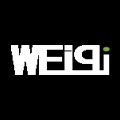 伟琦电气的LOGO