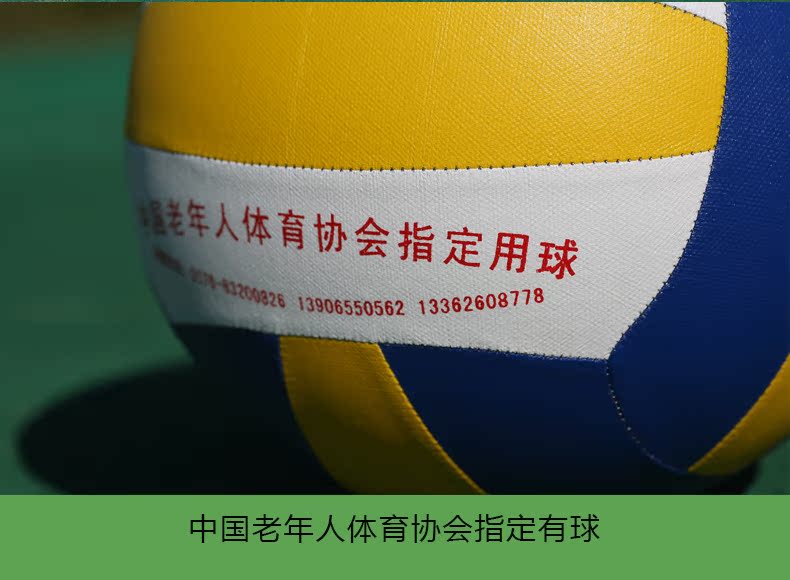 Ballon de volley - Ref 2008890 Image 15