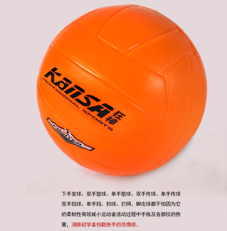Ballon de volley-ball - Ref 2008889 Image 16