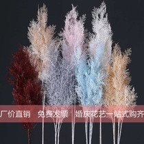 Simulation plant fog pine phoenix tail grass wedding landscape props Flower plastic flower artificial flower wedding window decoration