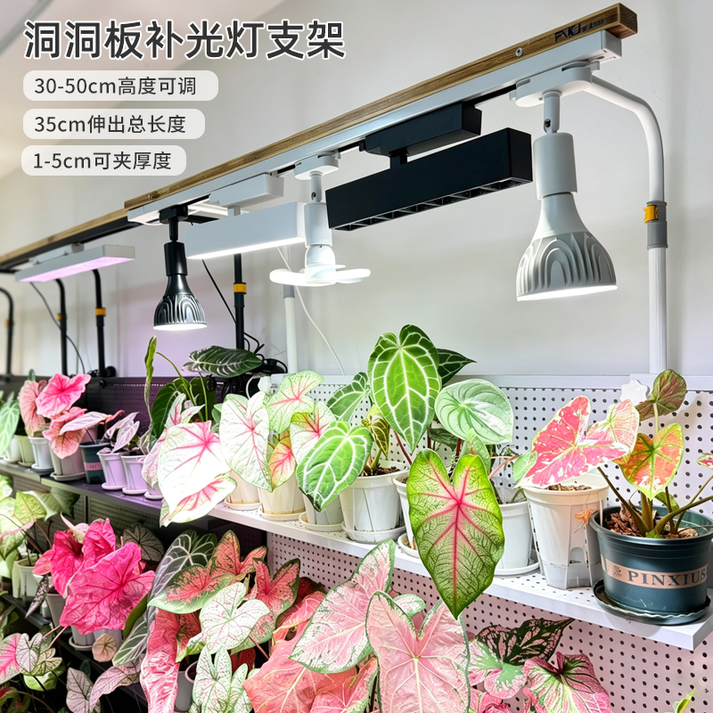 Perforated Board Adjustable Fill Light Bracket for Ferns, Colorful Leaf Plants, Indoor Green Plants, Track Spotlight, Telescopic Hanging Light Stand