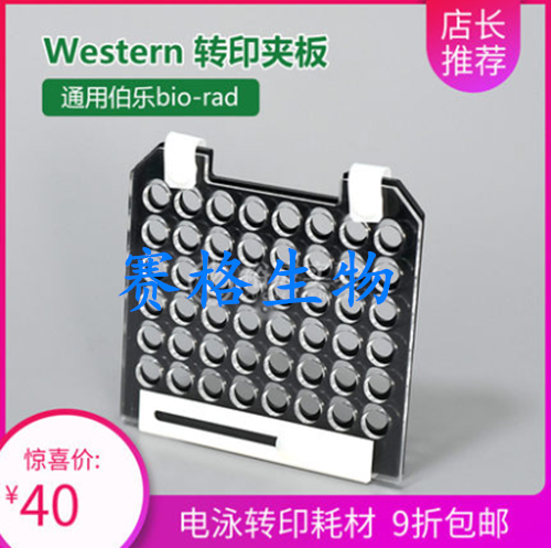 伯乐bio-rad 电泳配件转印三明治转移夹1703931电转夹电泳槽配件