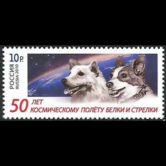 russian stamps 2010 space dog dog spaceflight 50th anniversary stamp 1 new collection xc