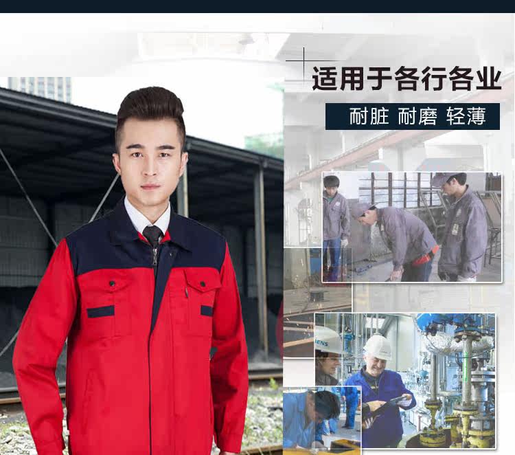 Tenue de travail en coton - Ref 1912456 Image 14