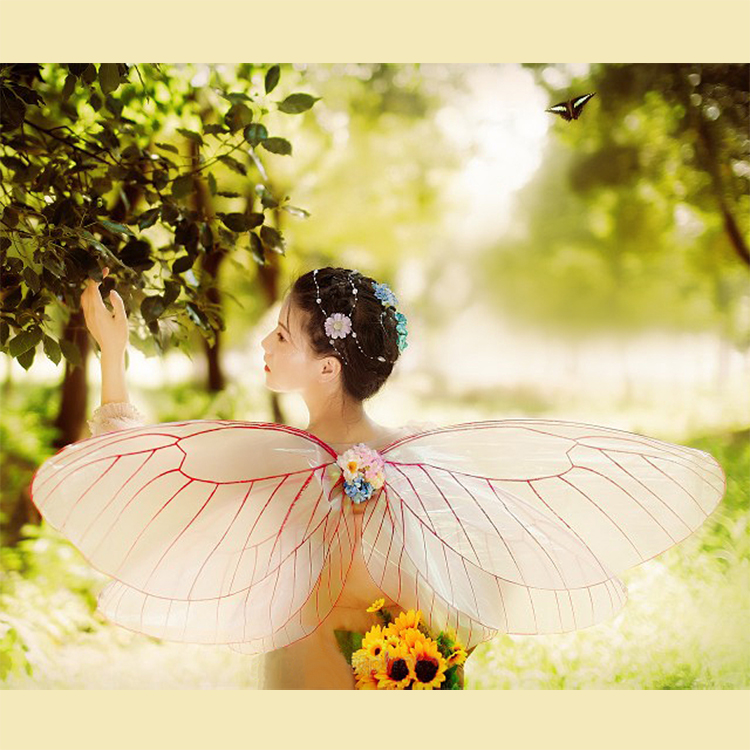 Butterfly Great Angel Wings Props Adult Transparent Genie Wings Fantastic Flowers Fairy model photographed Vimey wings