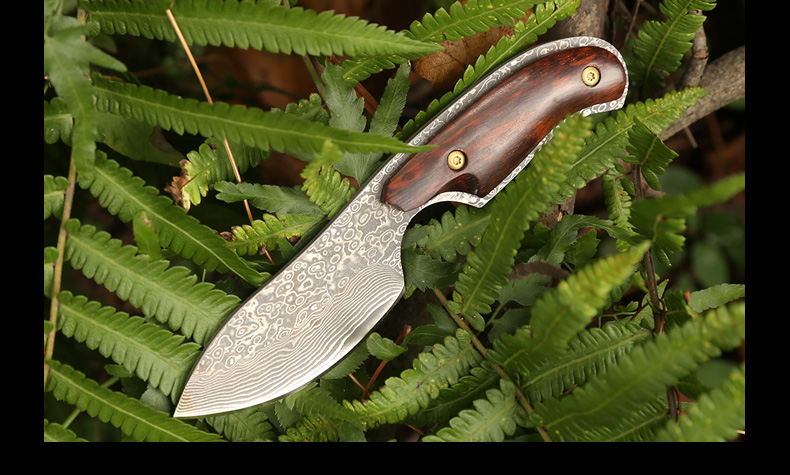 Dao thép cường độ cao Damascus rèn sắc bén với dao nhỏ tự vệ quân sự dao hoang dã sống sót dao thẳng - Công cụ Knift / công cụ đa mục đích kìm nhọn đa năng
