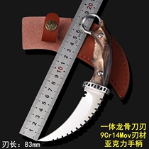 Special tactical knife self-defense opening knife field survival knife claw knife high hardness outdoor survival knife claw knife