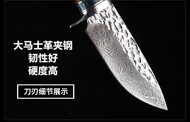Dao thép mới Damascus Độ cứng cao ngoài trời Công cụ nhỏ sắc bén Chiến thuật di động Trường sinh tồn Tự dao thẳng - Công cụ Knift / công cụ đa mục đích dao đa năng victorinox