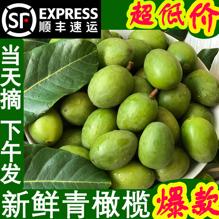 Fresh olive green olive fruit Minqing sandalwood vinegar wine pregnant woman soup fruit raw green fruit Shunfeng