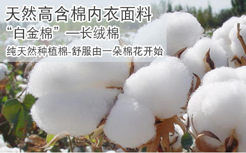 Spot Hàn Quốc mùa hè ngực nhỏ ống top bra quây cotton cô gái quấn ngực đồ lót chạm đáy chống sáng với miếng đệm ngực - Ống áo lót nữ dễ thương
