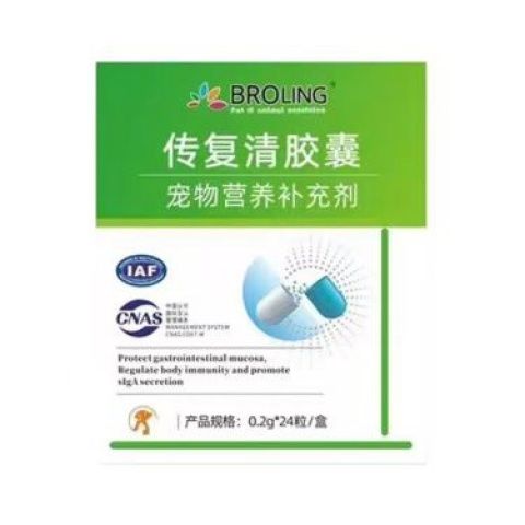 NOSTATA复合营养剂:为爱宠注入健康活力的关键法宝