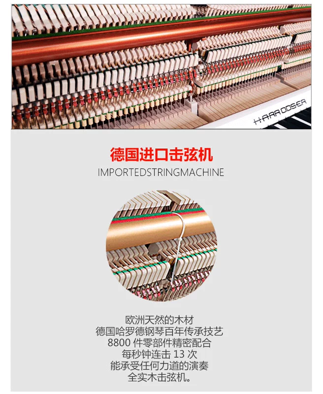 Đức Harold H-1 series đàn piano thẳng đứng nhập khẩu mới dạy chơi piano - dương cầm