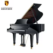 Đức HARROSDER HG-158 đàn piano biểu diễn chuyên nghiệp dành cho người lớn cao cấp mới