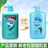 Шампунь, освежающий плавный комплект подходит для мужчин и женщин, 1000 мл, орхидея, удаление перхоти, против зуда