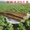 Товары от 益顺康旗舰店