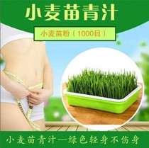 Xuzhou wheat seedling powder Wheat Wakaba powder 500g bag Wakaba green juice powder clear juice