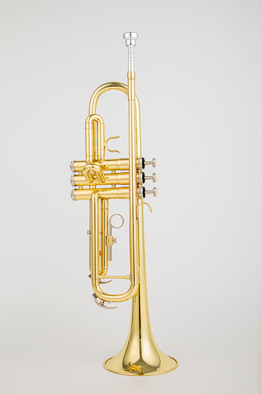Golden Trumpet Golden Trumpet