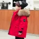 Красный с садовыми волосами