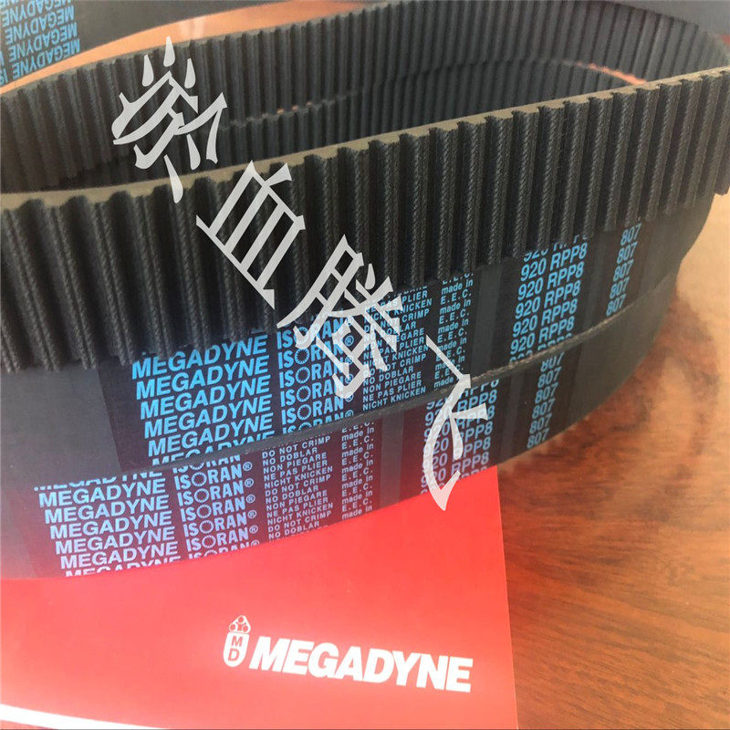Italy mogo di MEGADYNE belt RPP8-560 600 608 632 640 648 720