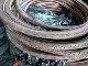 Kwest26x1.25 Brown