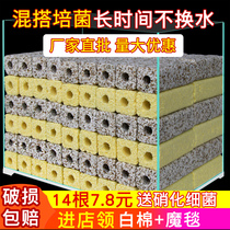 Fish tank bacterial House filter material quartz digestion filter material full box set culture nitrifying bacteria square ceramic ring